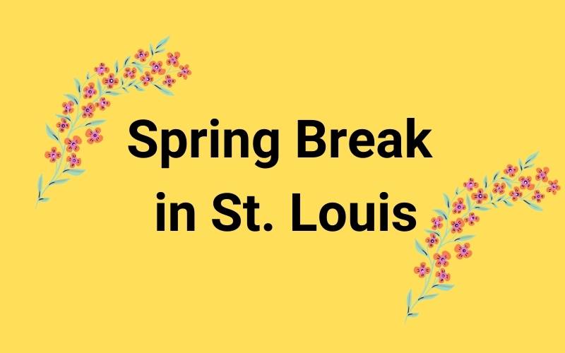 Spring Break in St. Louis Mastermind Room Escape